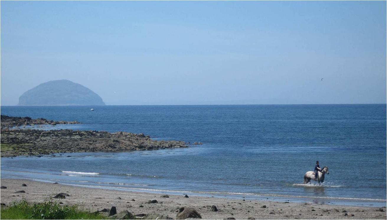 Woodland Bay Hotel Girvan Exteriör bild